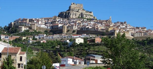 Morella