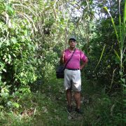 Jungla Costa Rica