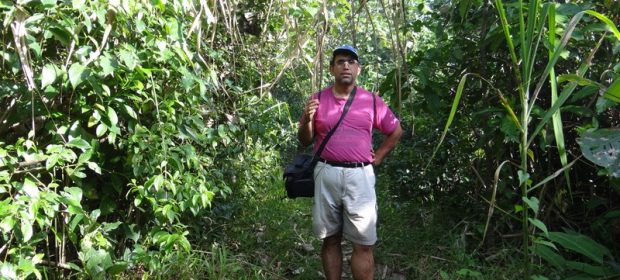 Jungla Costa Rica
