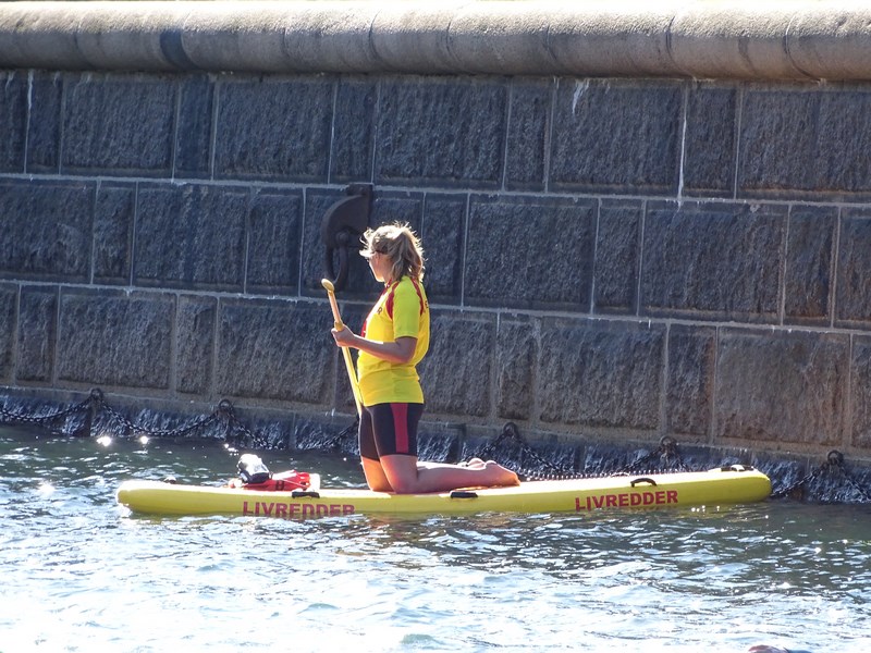 Stand Up Paddle Copenaga