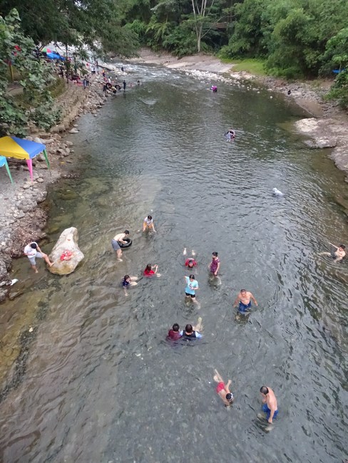 Rau In Bukit Lawang