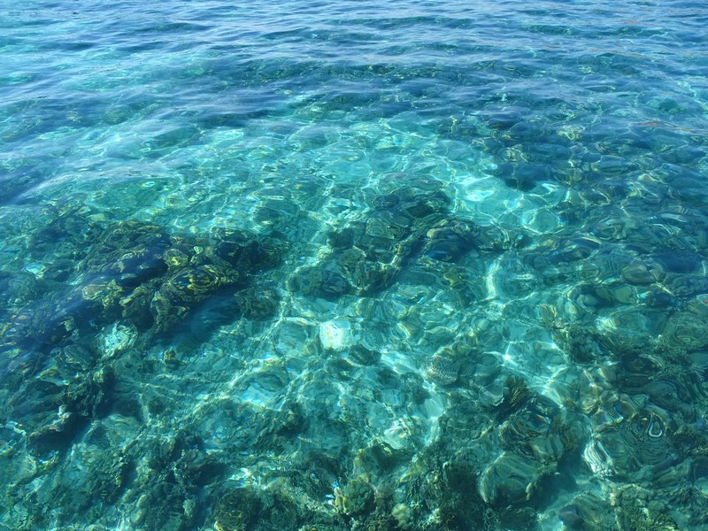 Oceanul Indian