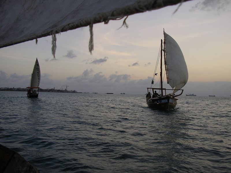 Sailing In Zanzibar
