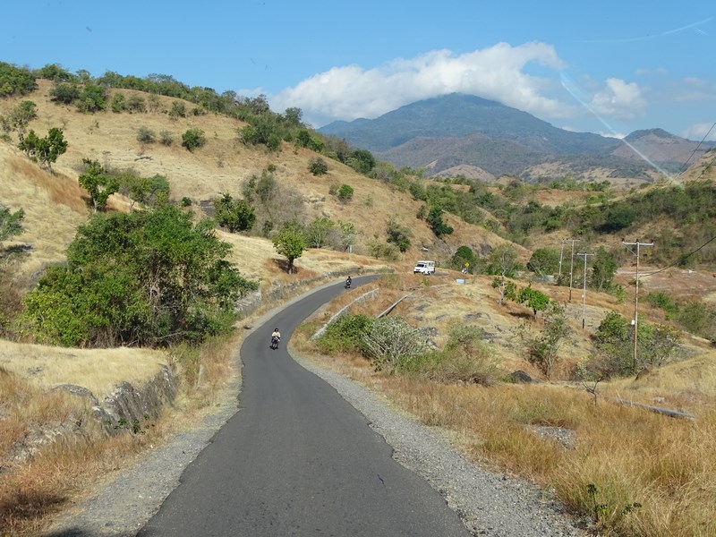 Flores Road