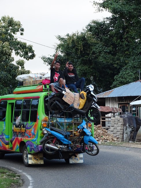 Autobuz Flores