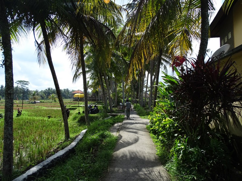 Strada Ubud