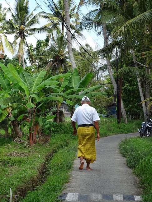 Descult In Ubud