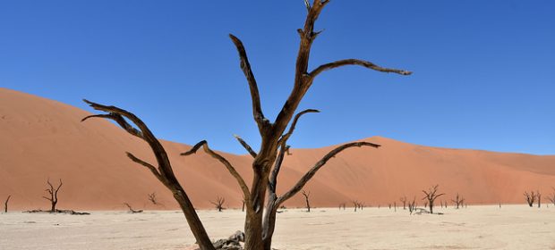 . Sosuvlei