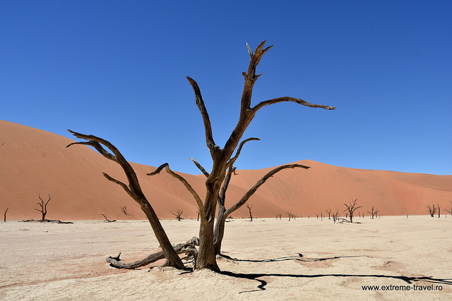 . Sosuvlei