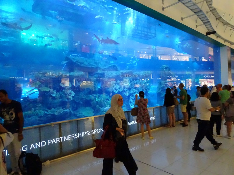 Acvariu In Dubai Mall