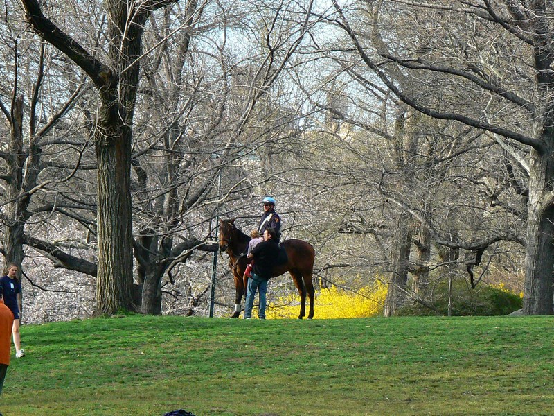 Central Park