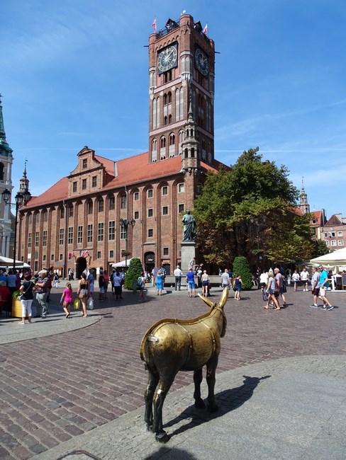 Magarul Din Torun