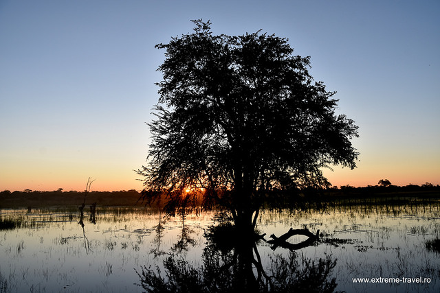 Apus De Soare In Botswana