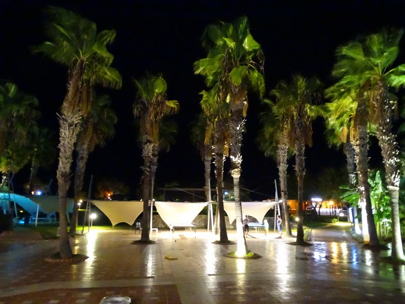 Palmieri Luminati