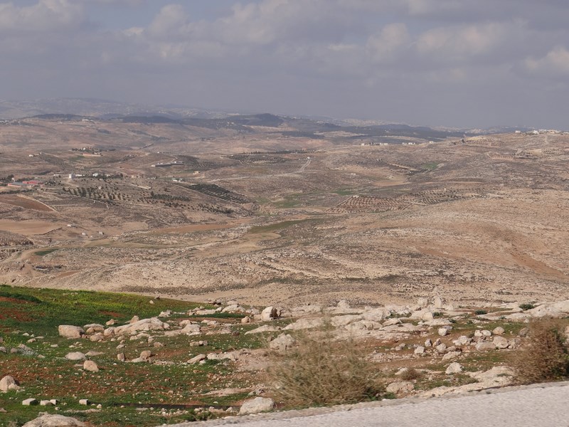 Palestina