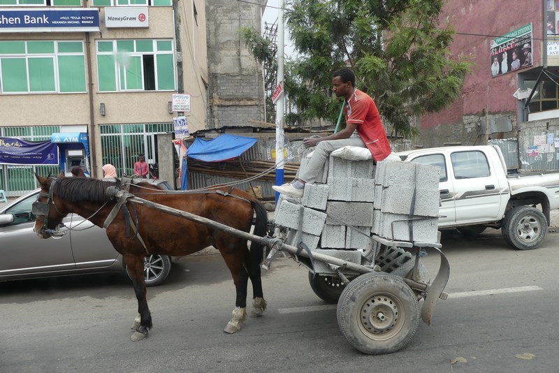 Transport Cu Calul