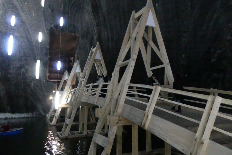 Intrare Salina