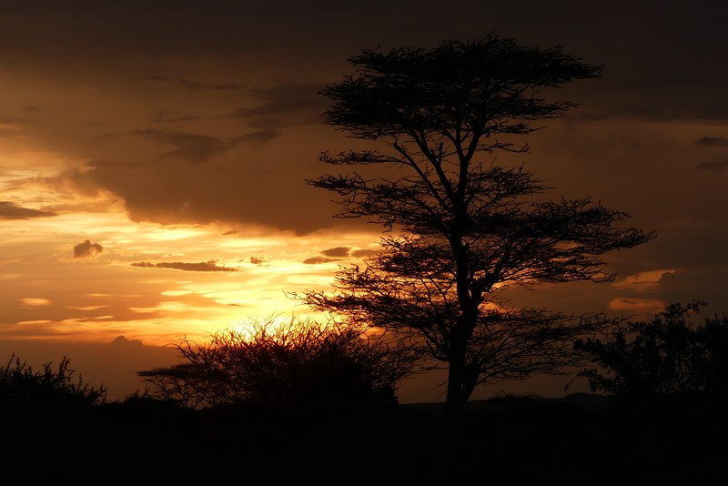 Apus De Soare In Africa