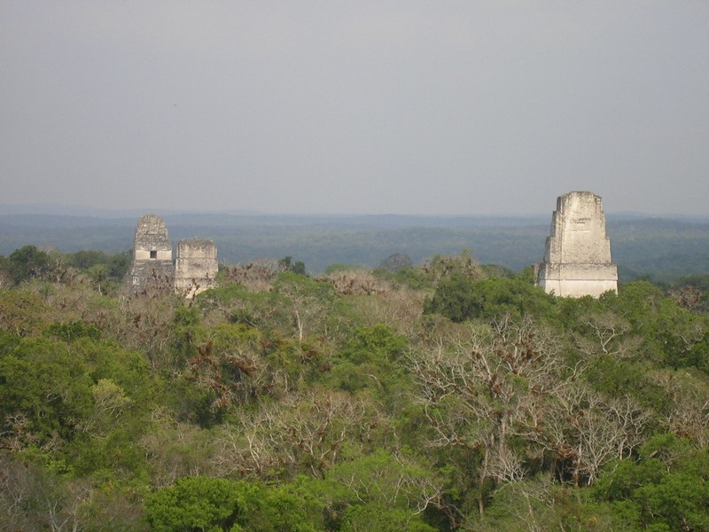 Yavin