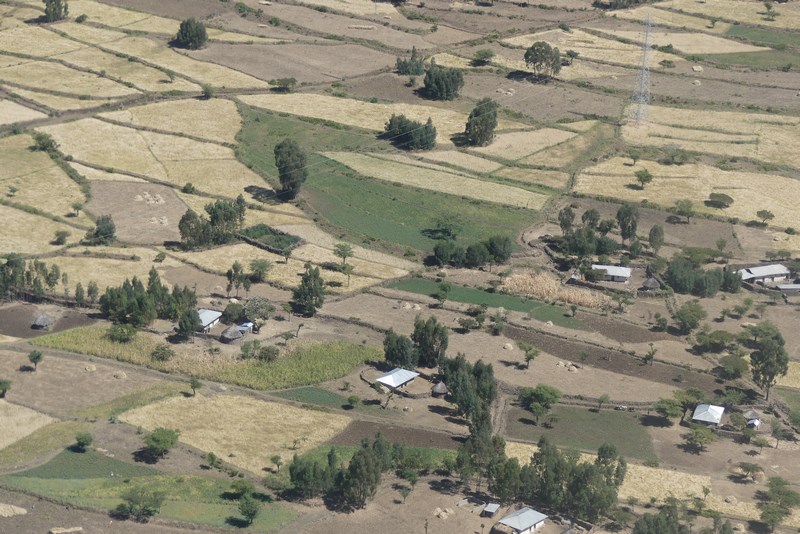 Campuri Agricole