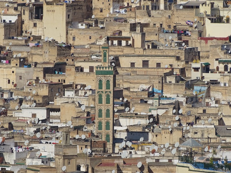 Fez