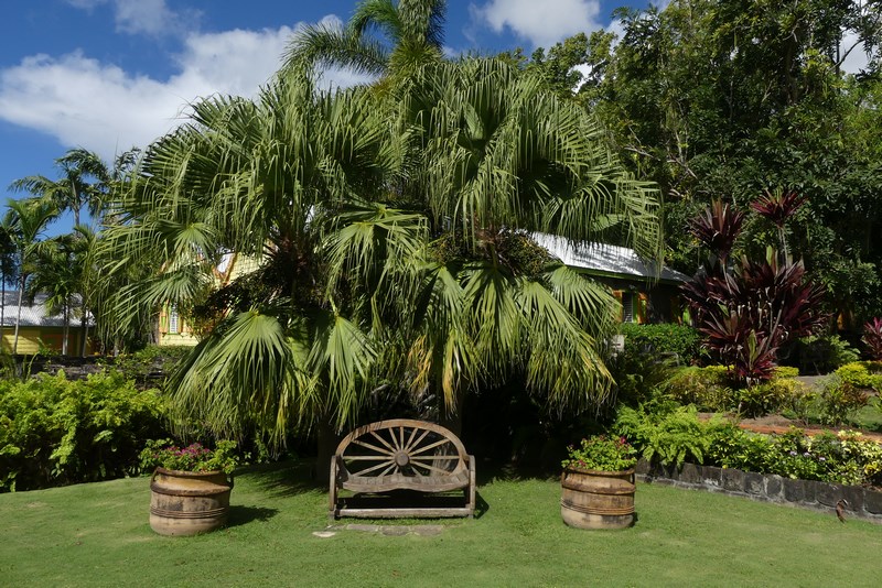 Romney Manor St. Kitts