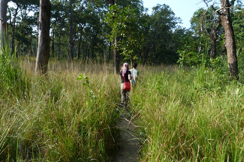 Chitwan National Park