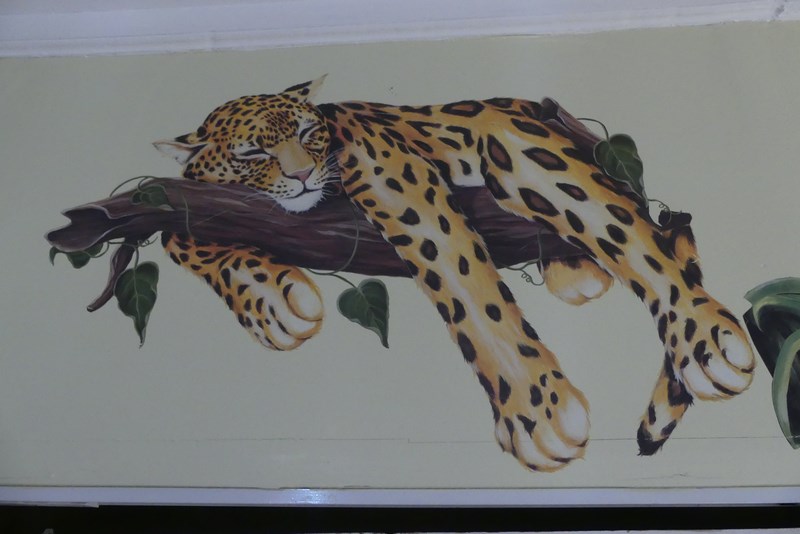 Leopard