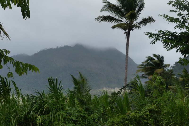Ploaie caraibeana