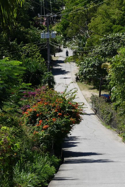 Sosele Bequia