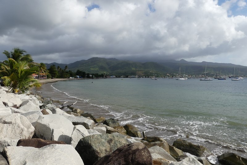 Coasta Dominica