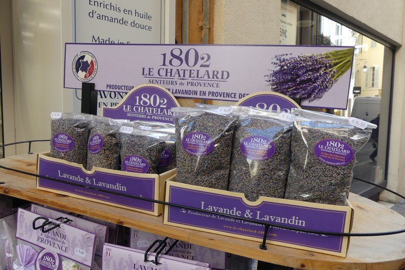 Lavanda