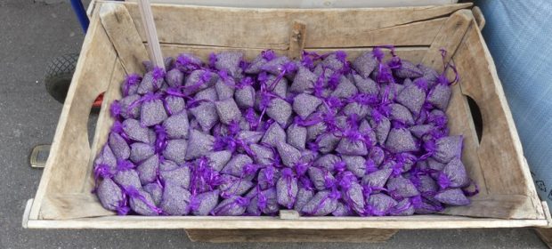 Lavanda Provence