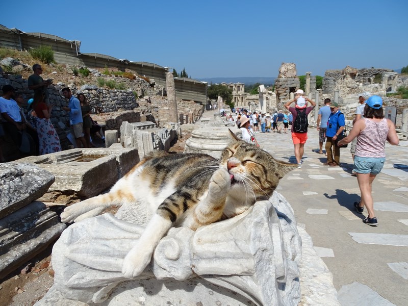 Efes