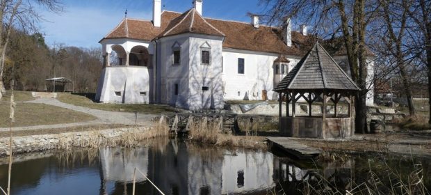 Palat Miclosoara