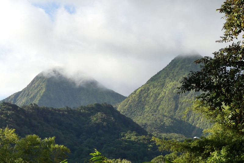 Munti Martinique