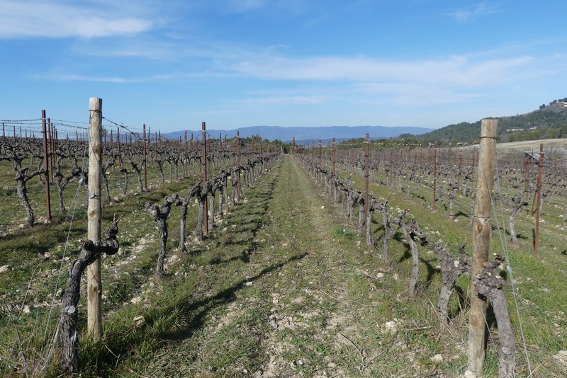 Podgorie Provence