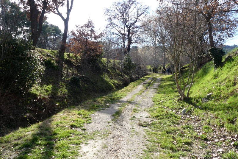 Tur podgorie