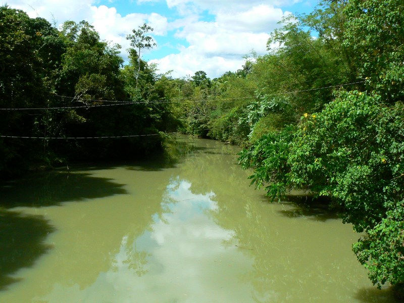 Rau Bohol