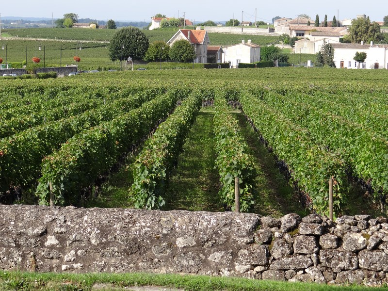 Podgoria St Emilion