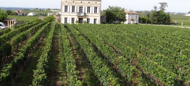 St. Emillion Bordeaux
