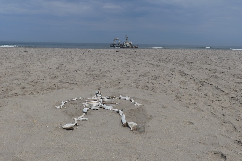 Skeleton Coast
