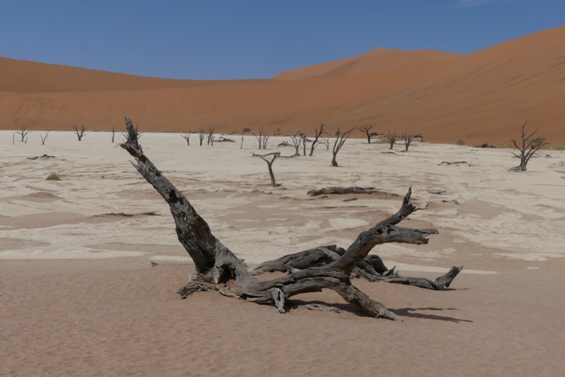 Deadvlei Namibia