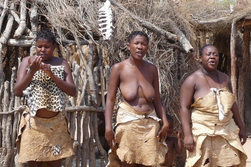 Dansatoare Damara