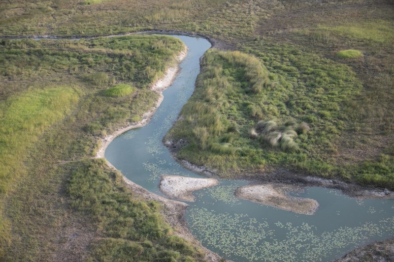 Delta Okavango
