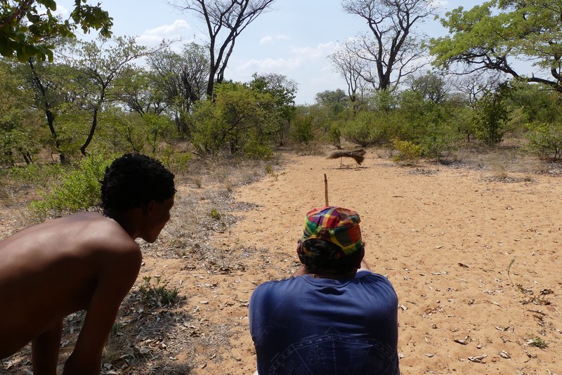 Vanatoare Africa