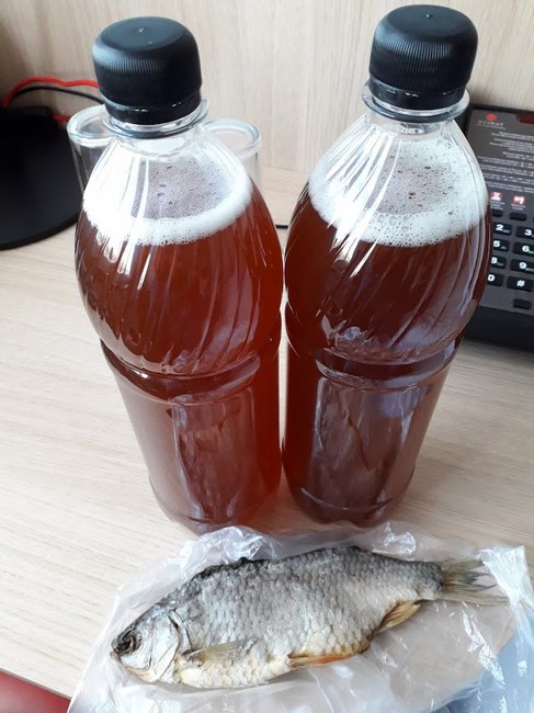 Doua beri si un peste