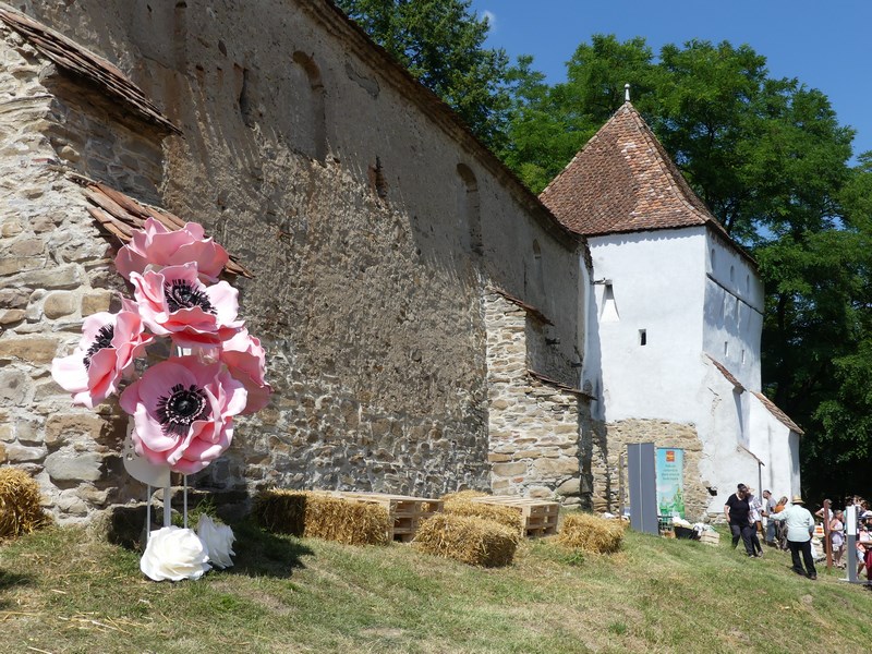 Cetatea Crit