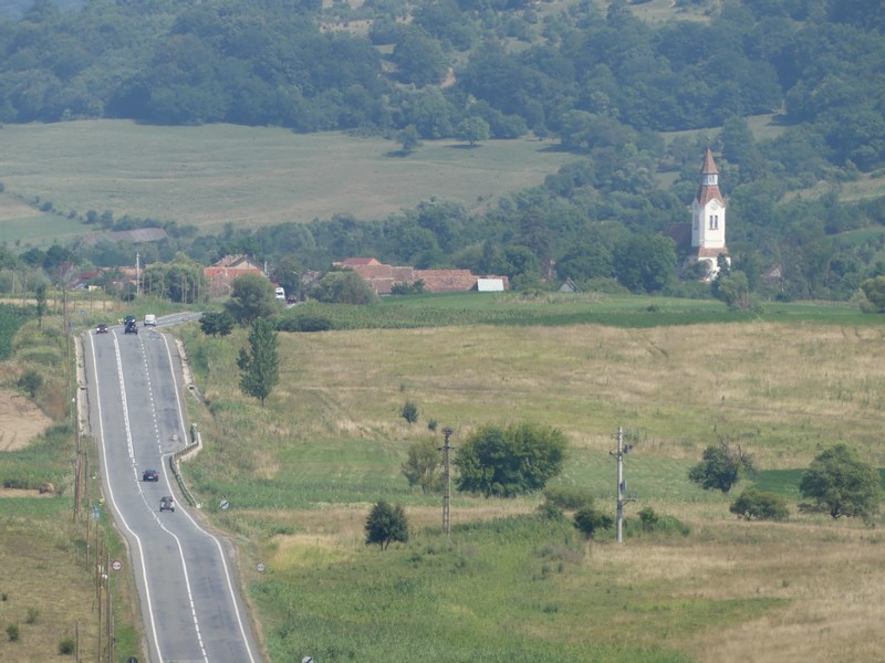Crit Bunesti