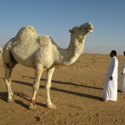 Arabia Saudita